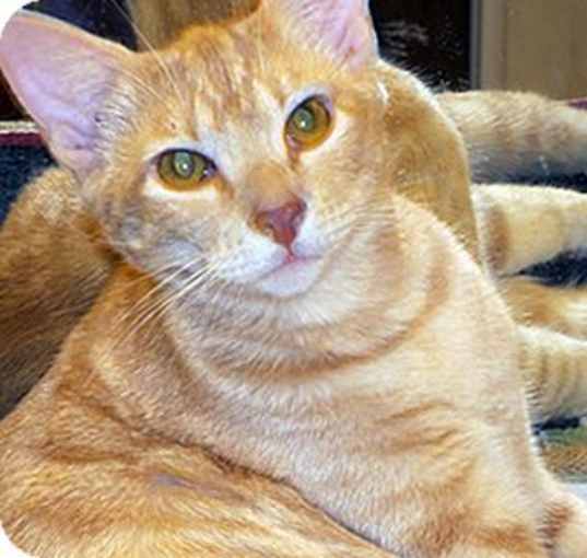 Photo of Skipper