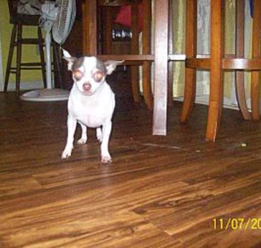 Photo of Bentley