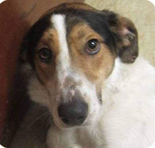 Photo of Axle