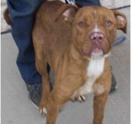 Photo of Sugar