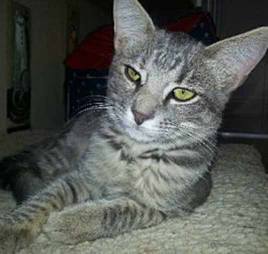 Photo of Tipsy