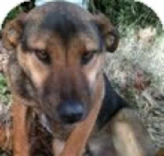 Photo of Riggs