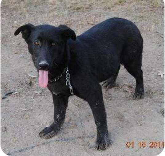 Photo of Daphne
