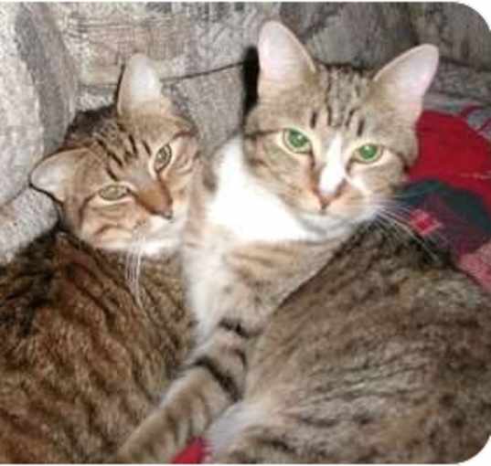 Photo of Hewy & Dewy