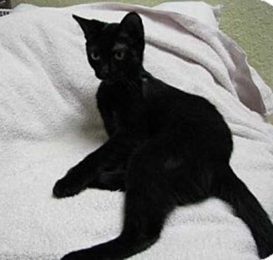 Photo of Penelope