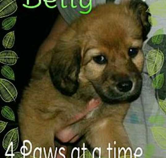 Photo of Betty