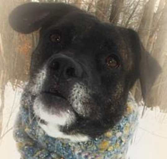 Photo of BRUTUS // 12 (SPONSORED)