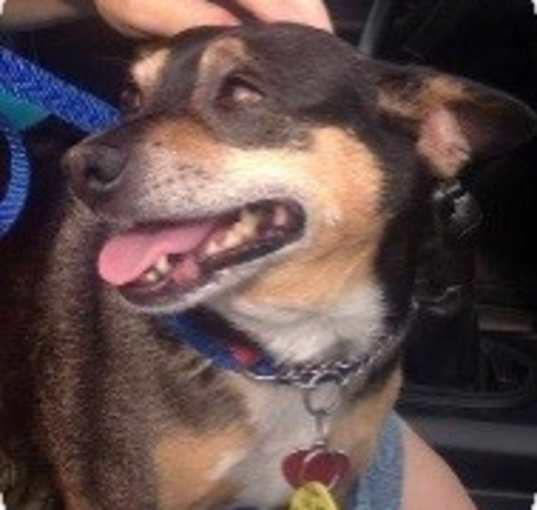 Photo of TIMON