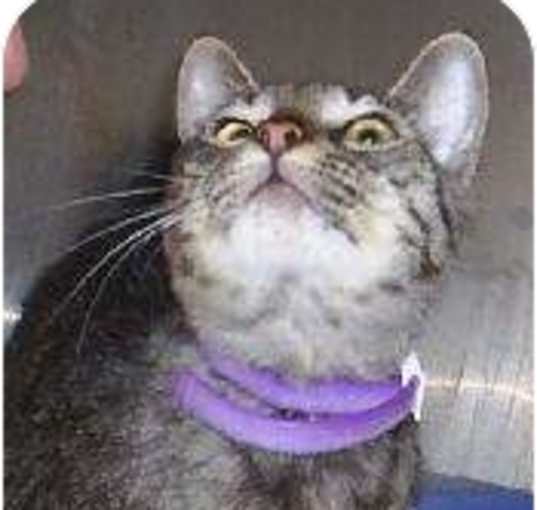 Photo of KC,F,0006