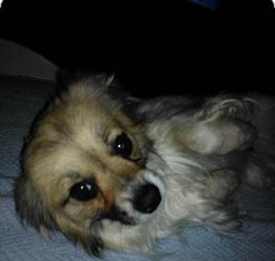 Photo of Miggins