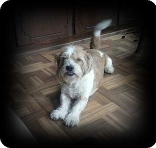 Photo of Barney