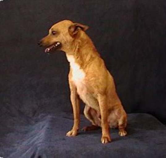 Photo of Timon