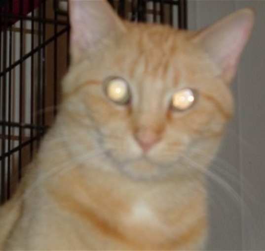 Photo of Jake