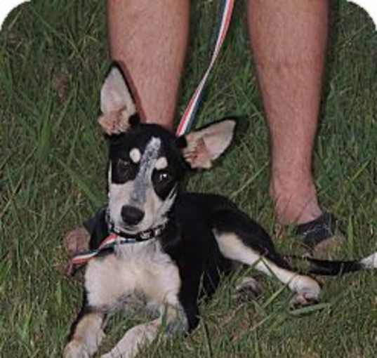 Photo of Kinley