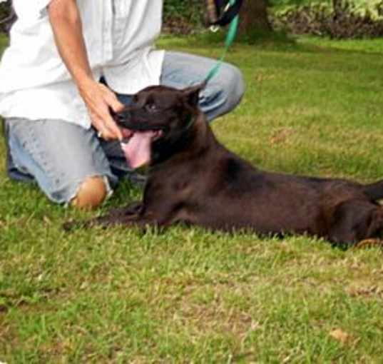 Photo of Ranger Danger