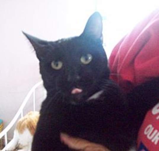 Photo of Lil Bit
