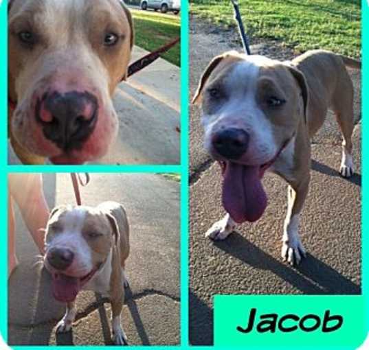 Photo of Jacob