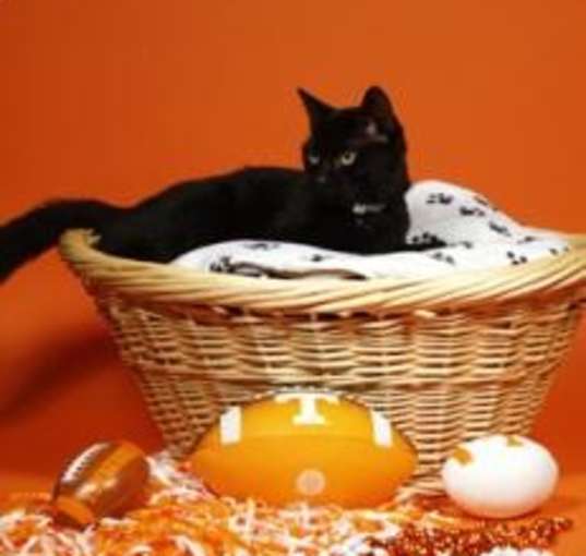 Photo of Esther