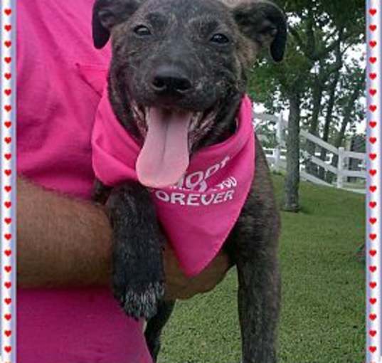 Photo of Gretel