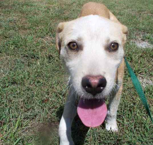 Photo of Cash