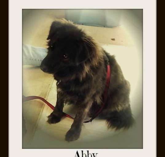 Photo of Abby