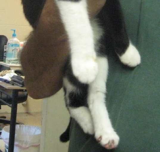 Photo of Tia