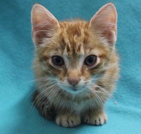 Photo of Fred