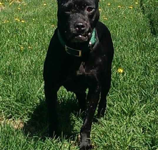 Photo of Snaggletooth