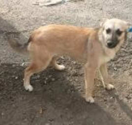 Photo of Lonna
