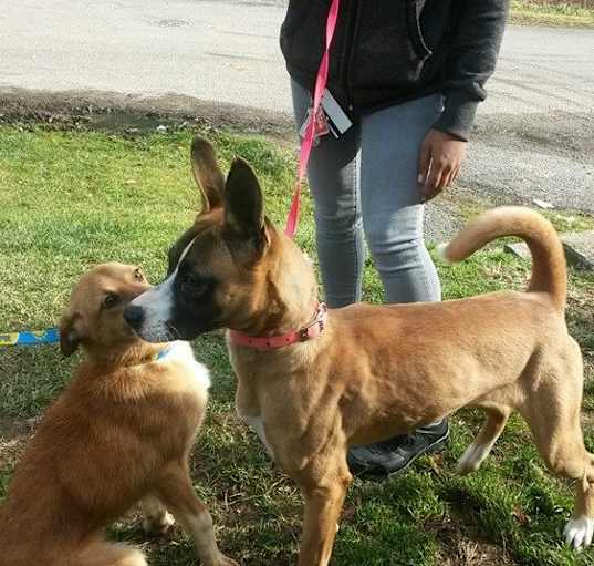 Photo of layla