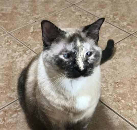 Photo of Skittles