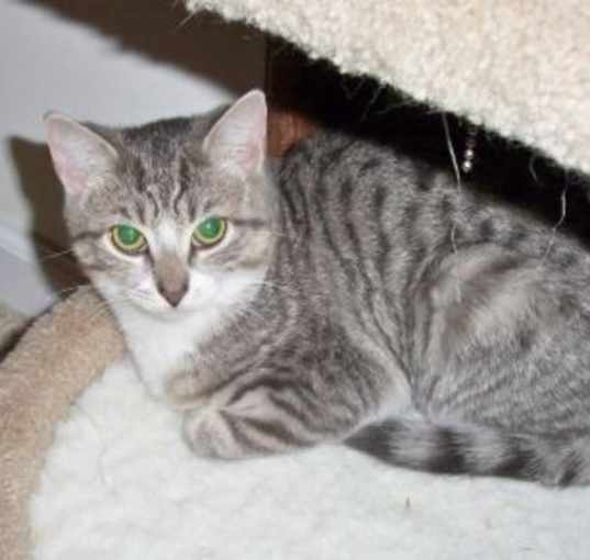 Photo of Timid "Lily"