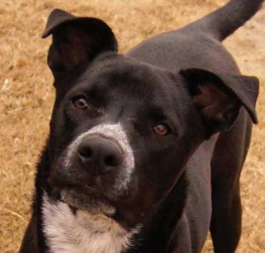 Photo of Nebo