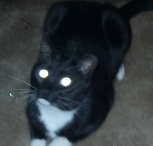 Photo of Mickey