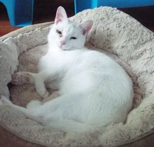 Photo of Jerry