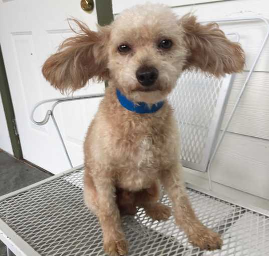 Photo of Rocket