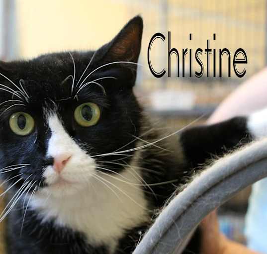 Photo of Christine