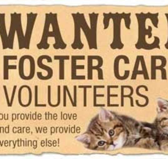 Photo of FOSTER HOME NEEDED