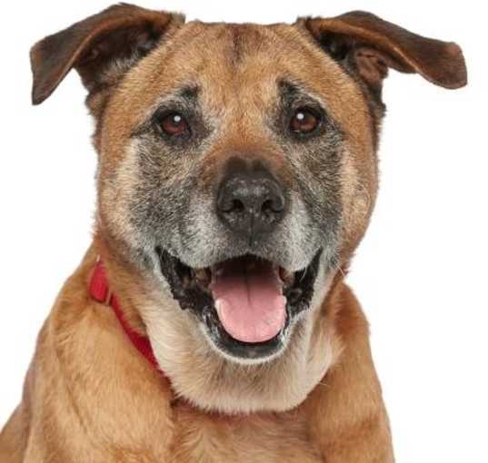 Photo of Sandy