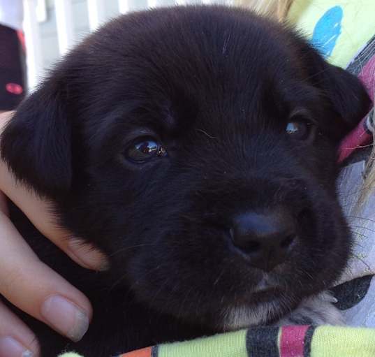 Photo of Maggie