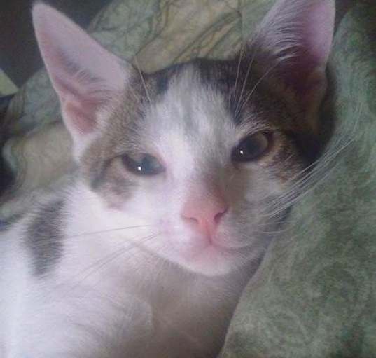 Photo of Calvin