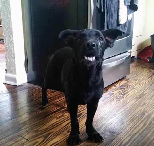 Photo of Lucy