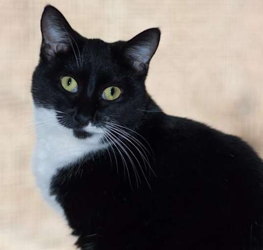 Photo of Ethel
