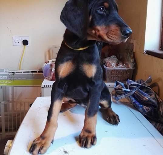 Photo of max