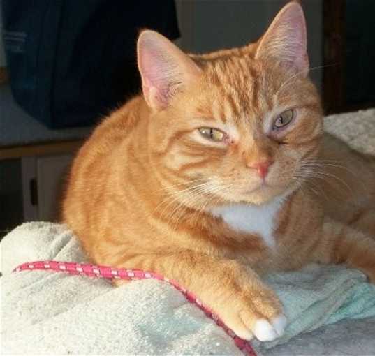 Photo of Jasper