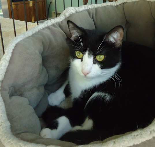 Photo of Pong