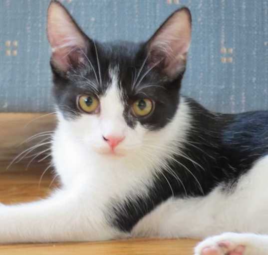 Photo of Kamilah