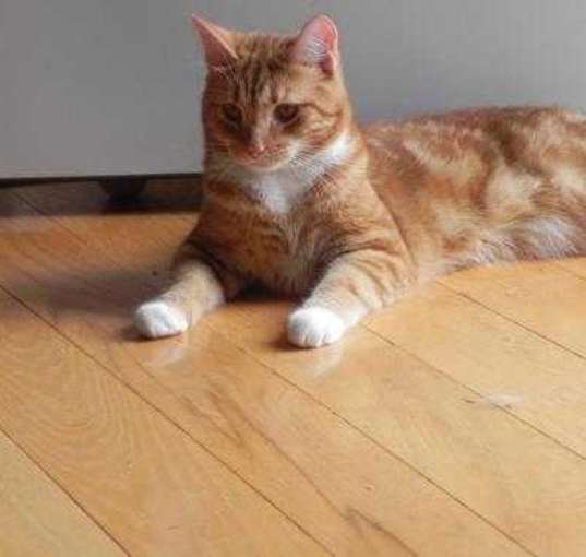 Photo of Reggie