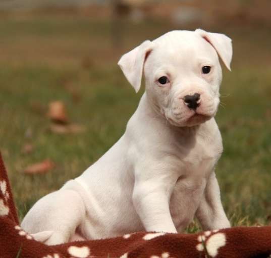 Photo of Buffy