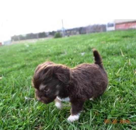 Photo of Buffy